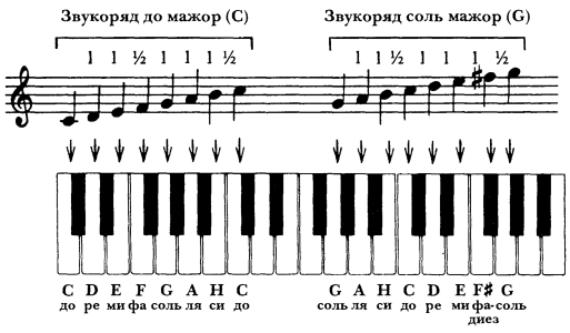 Ноты на пианино самостоятельно Ноты на пианино самостоятельно